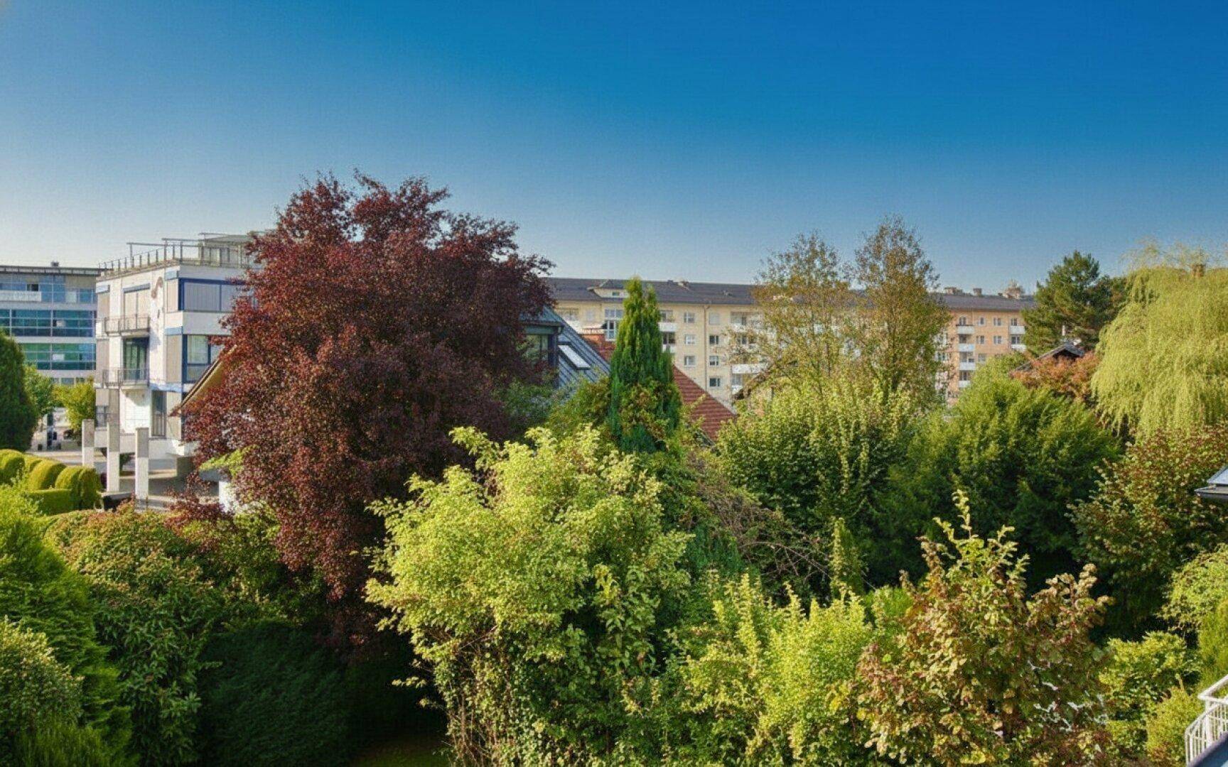 Blick über eine grüne Wohnsiedlung mit vielfältiger Vegetation und städtischer Bebauung im Hintergrund.