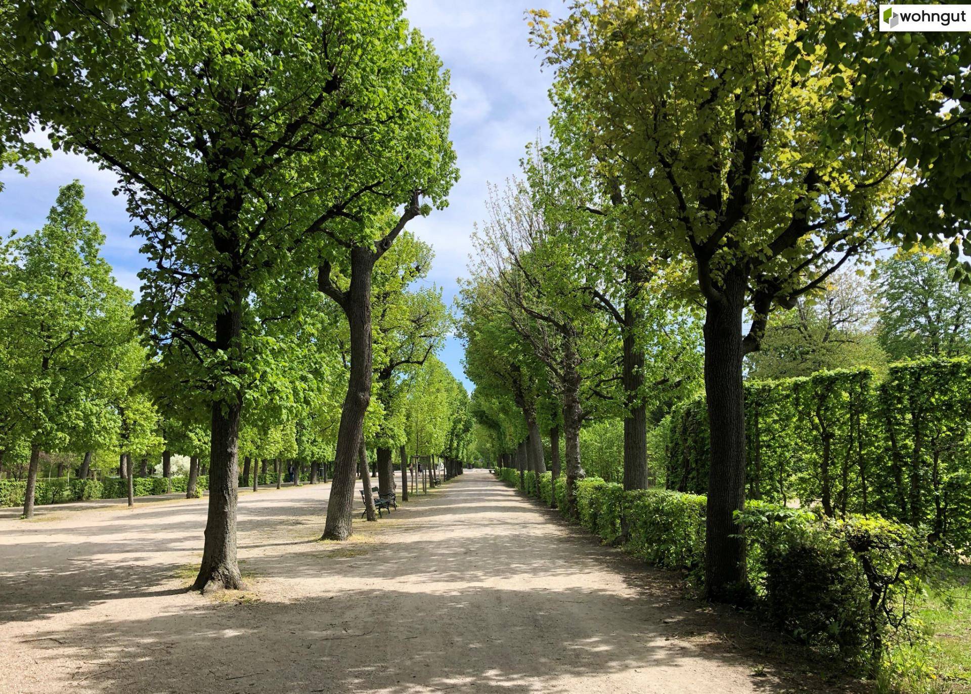 Schönbrunner Schlosspark