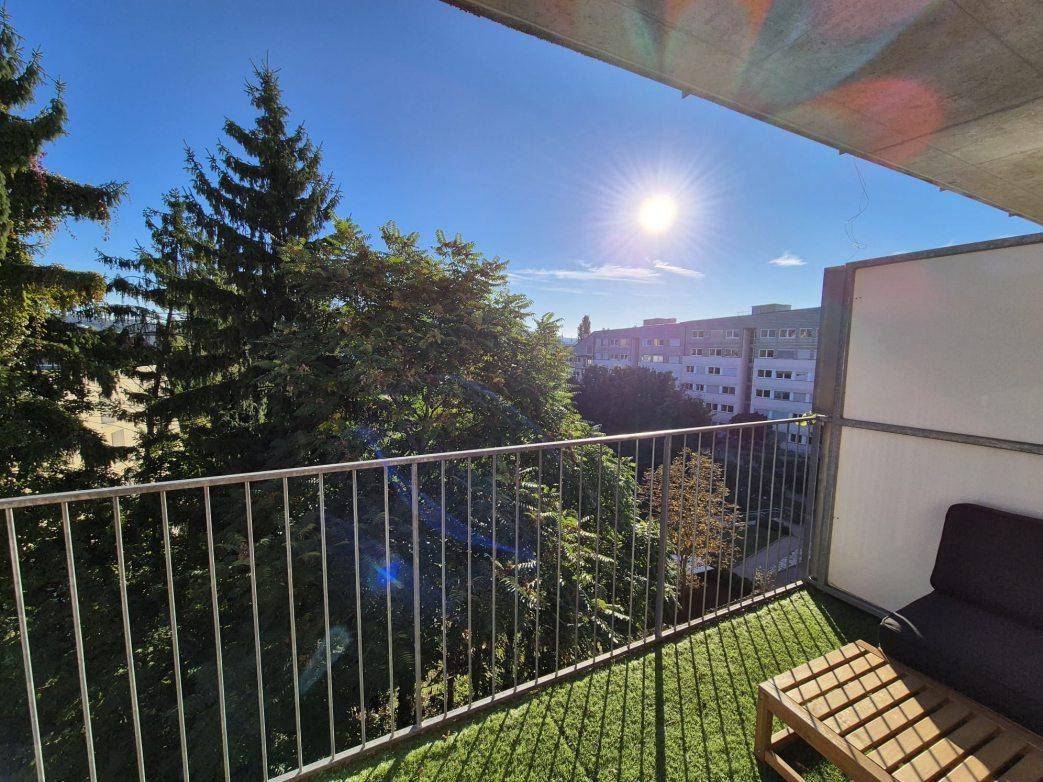 Bild 15