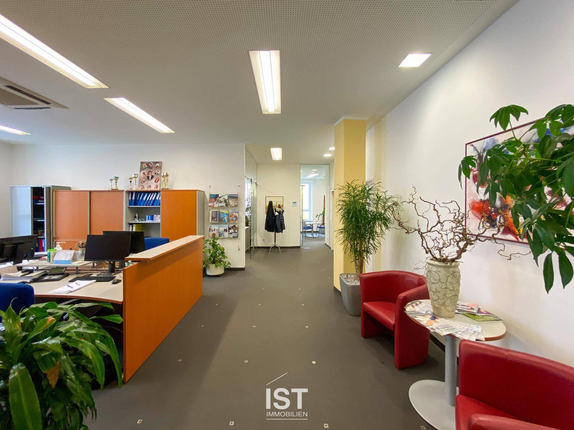 Geräumiger Bürobereich mit mehreren Arbeitsplätzen, Pflanzen und einem Empfangstresen in einem modernen Ambiente.