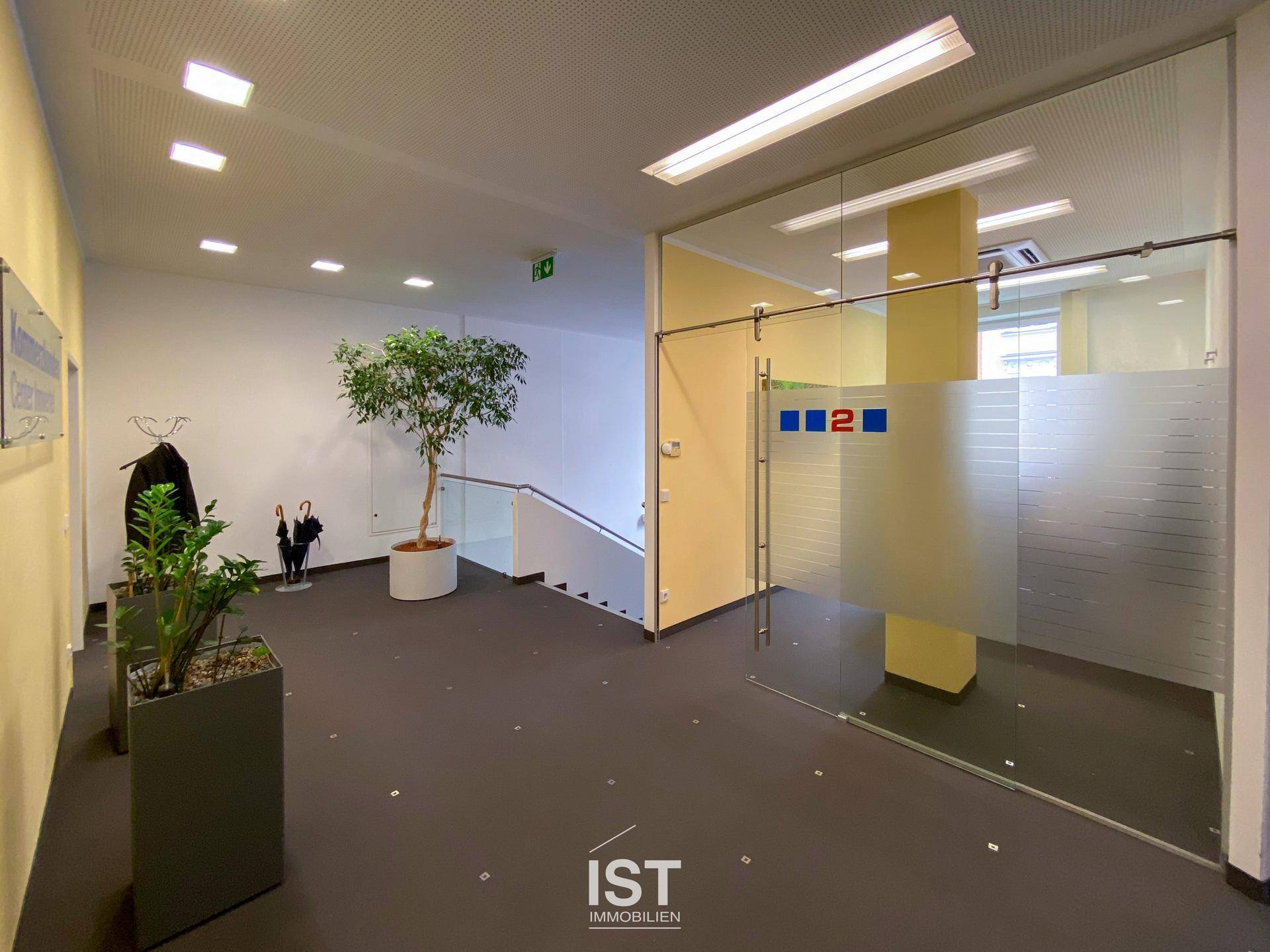 Heller Flurbereich mit Glaswand, Treppenaufgang und dekorativen Pflanzen, der zu weiteren Büroräumen führt.