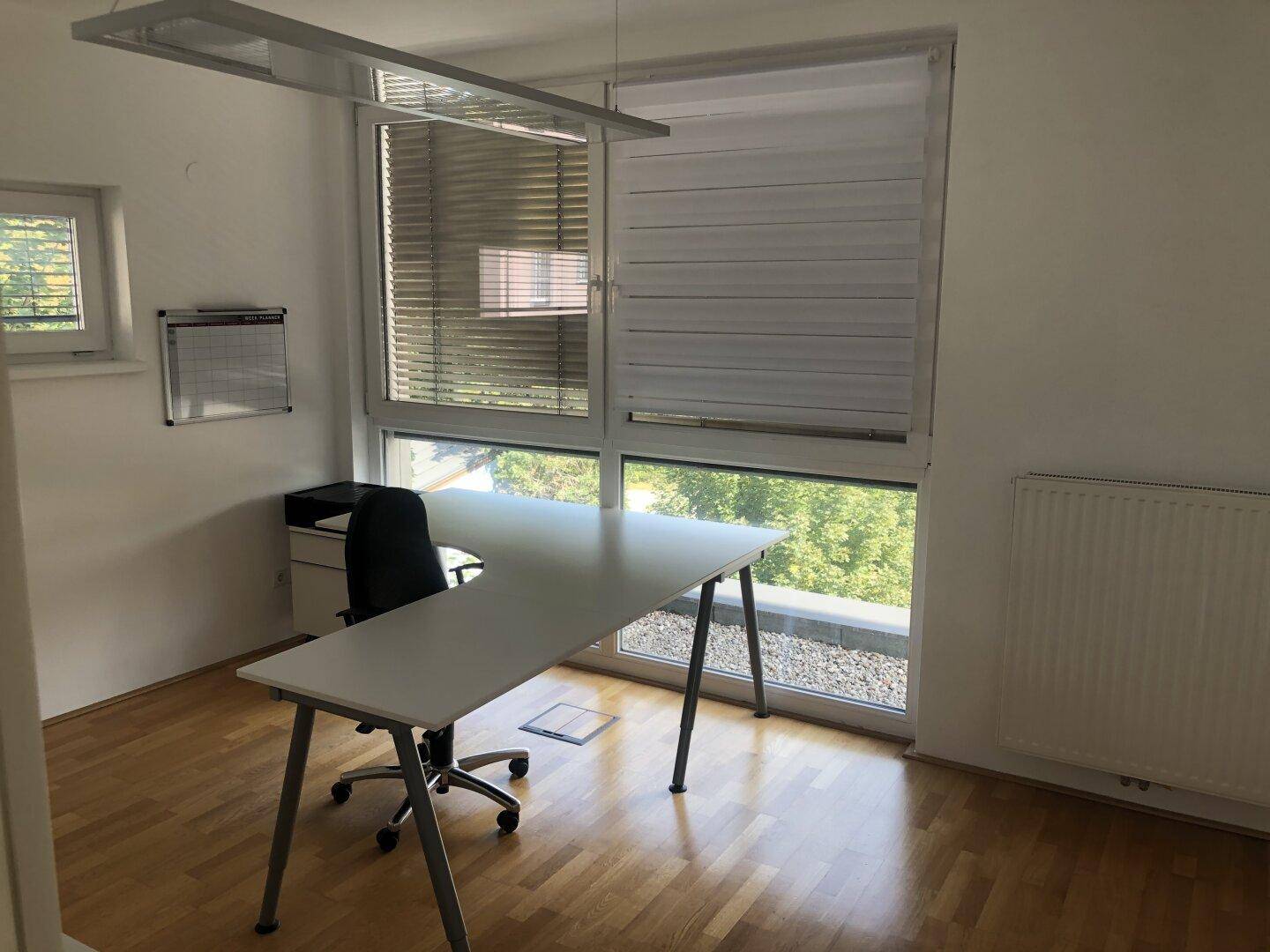 Büro mit Holzboden und einem großen Schreibtisch, bietet einen grünen Ausblick durch die Fenster mit Jalousien.