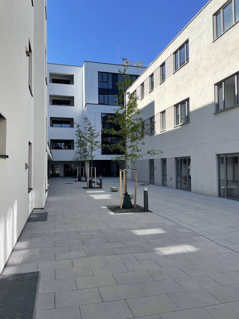 Moderner Innenhof zwischen Neubauten mit klaren Linien, großen Fenstern und jungen Bäumen.