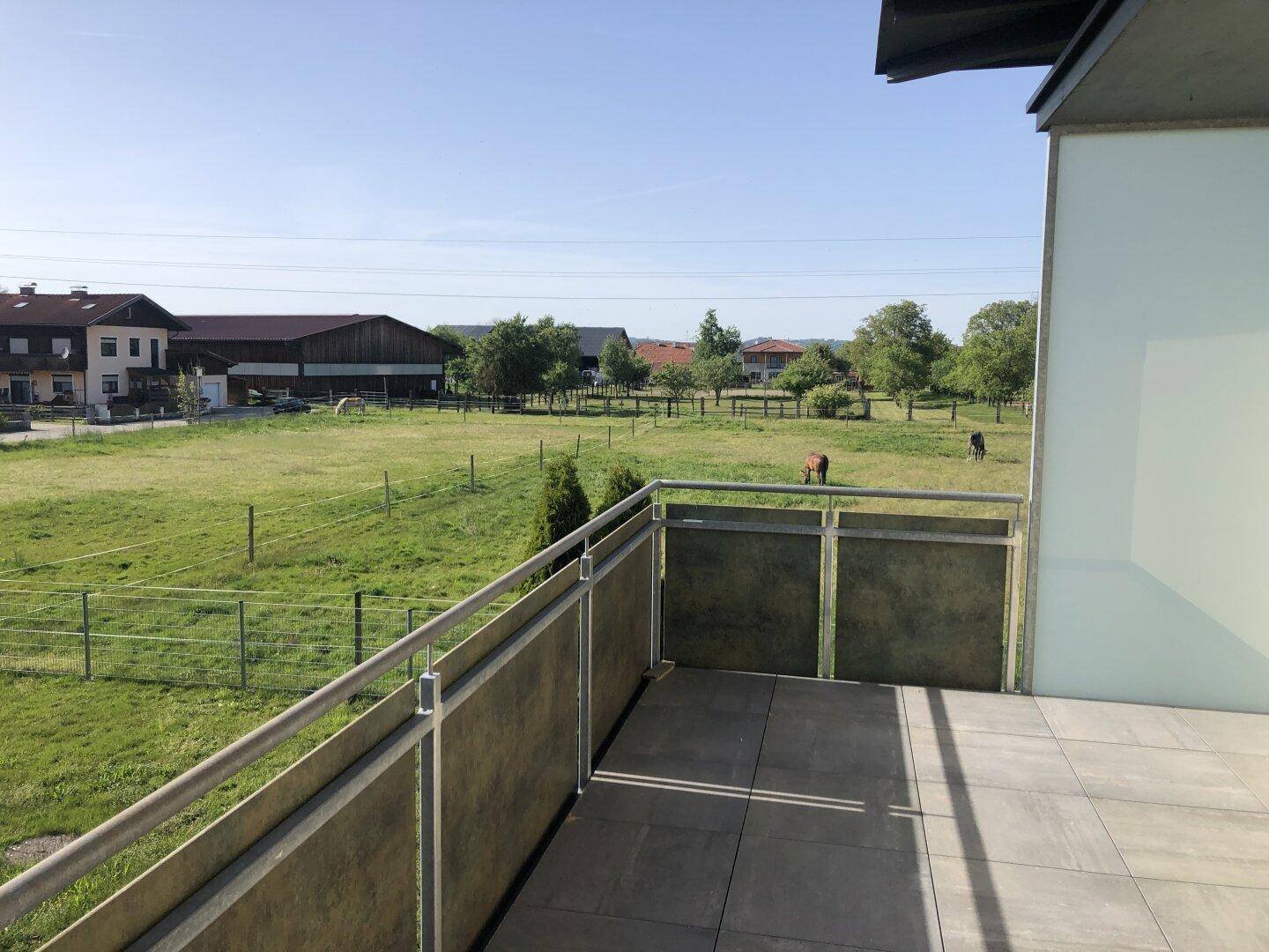 Balkon mit weitem Blick über grüne Felder und Pferdekoppeln in ländlicher Umgebung.