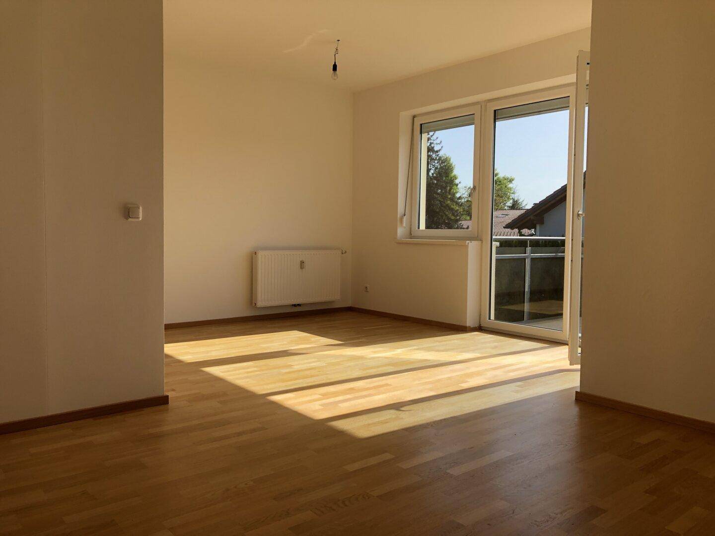 Heller Wohnraum mit Parkettboden, Heizkörper und Zugang zu einem Balkon, sonnendurchflutet.