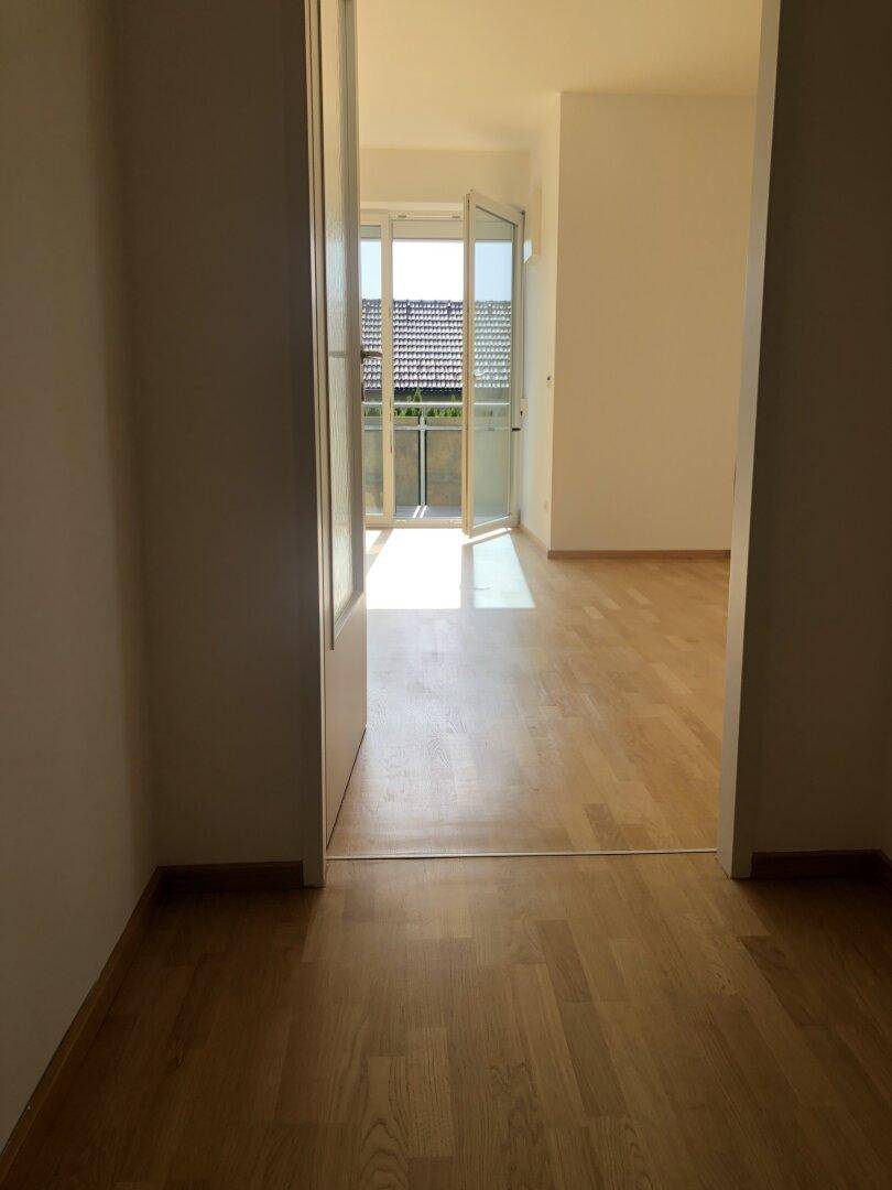Heller Durchgangsbereich mit Parkettboden, der zu einem sonnigen Raum mit Balkonzugang führt.