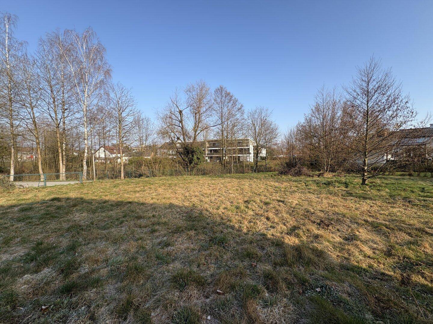 Sonniges Grundstück mit trockener Grasfläche und vereinzelten Bäumen, umgeben von Natur.