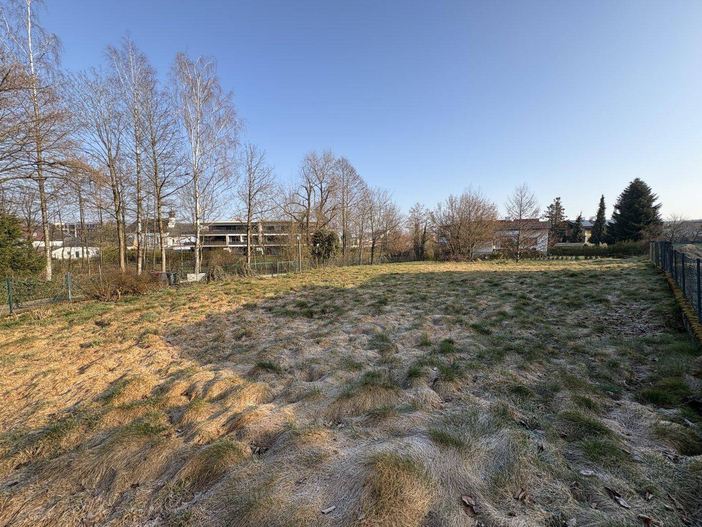 Weitläufiges Grundstück mit Grasfläche und Bäumen unter klarem Himmel, ideal für Neubau.