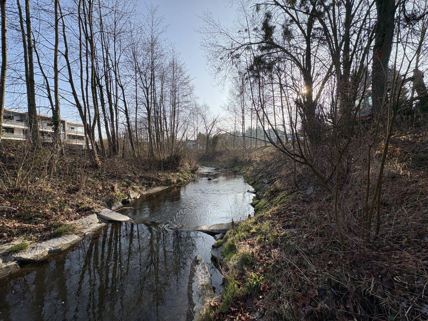 Kleiner Flusslauf umgeben von Bäumen und Uferbewuchs unter strahlendem Sonnenschein.