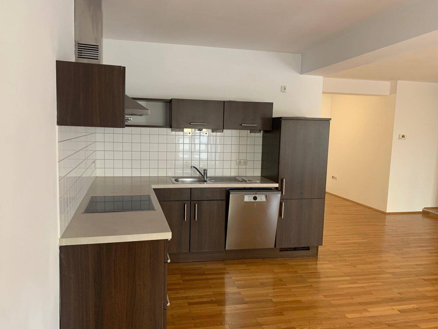 Detailansicht der Küche mit Induktionskochfeld, Spüle, Geschirrspüler und Kühlschrank.