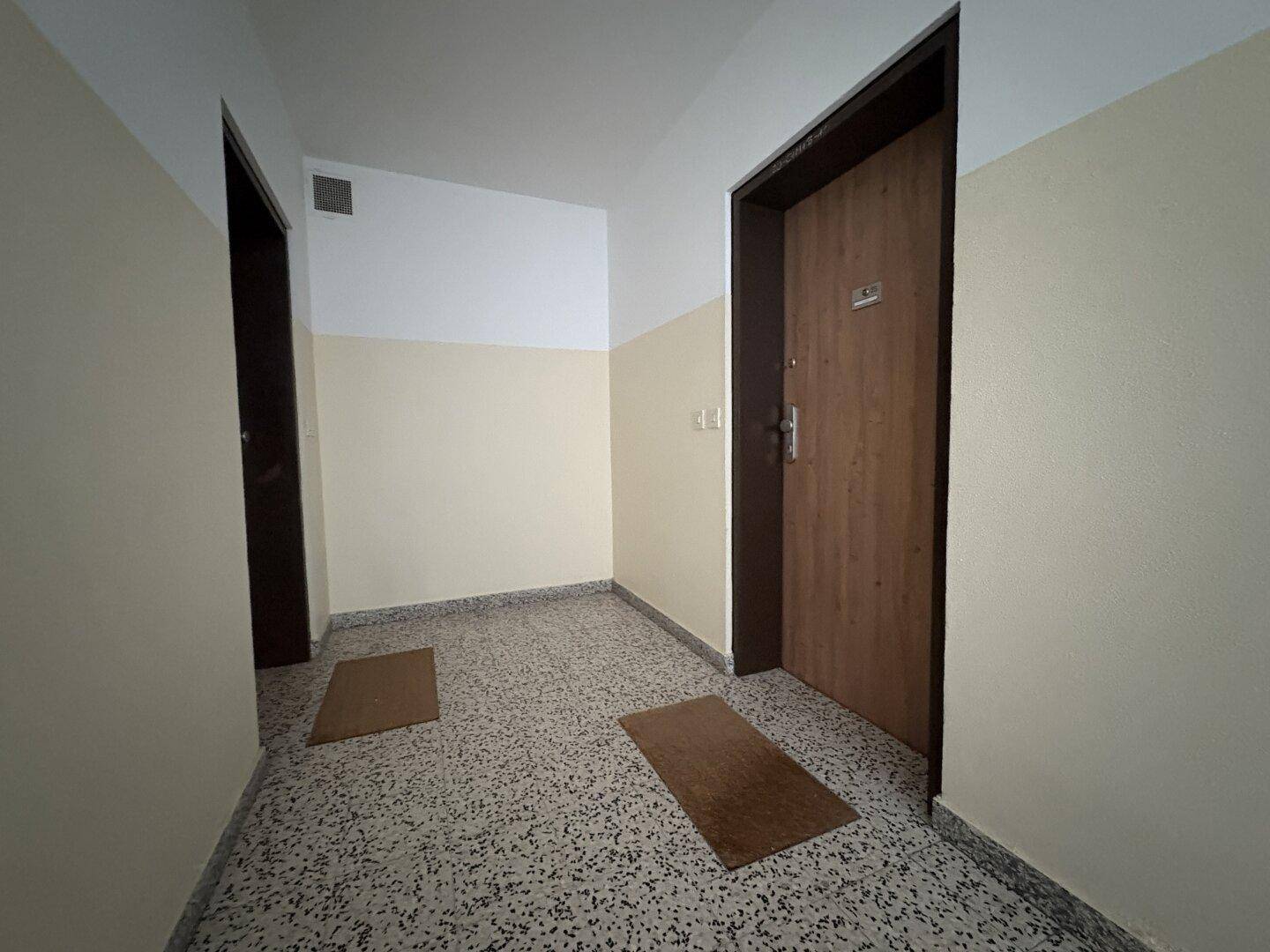 Kleiner Flur mit zwei Wohnungstüren und Terrazzoboden im Eingangsbereich.
