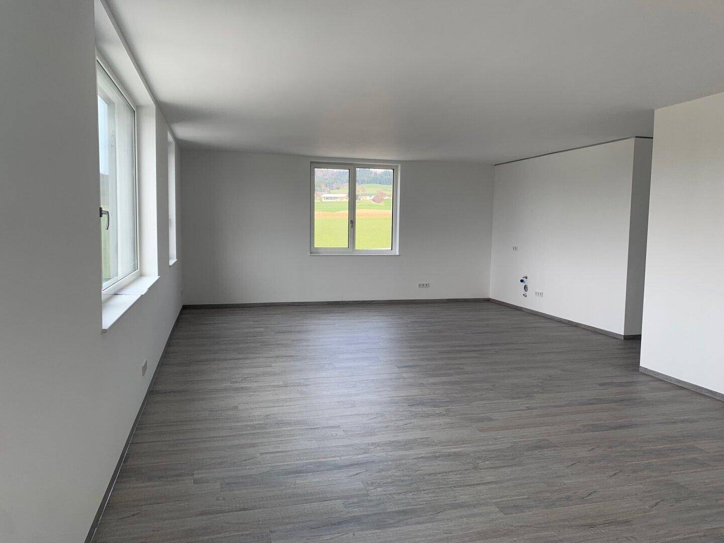 Großer, heller Raum mit mehreren Fenstern, grauem Laminatboden und Blick ins Grüne.