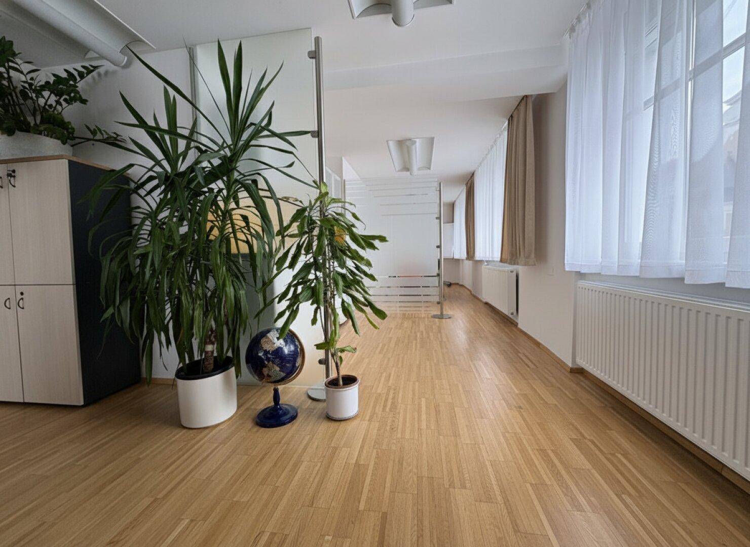 Langer Bürogang mit Parkettboden, großen Pflanzen und Fenstern mit Vorhängen, die viel Licht hereinlassen.