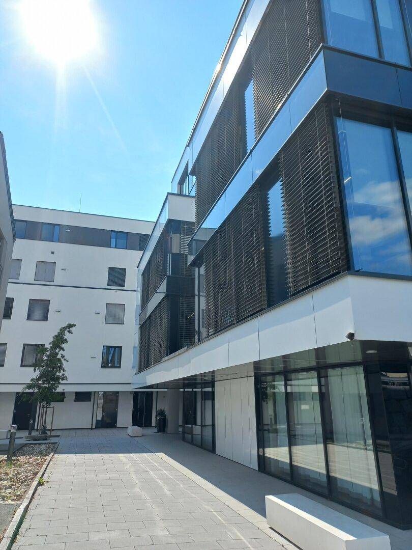 Seitenansicht eines modernen Bürogebäudes mit gepflastertem Weg und viel Sonnenlicht.