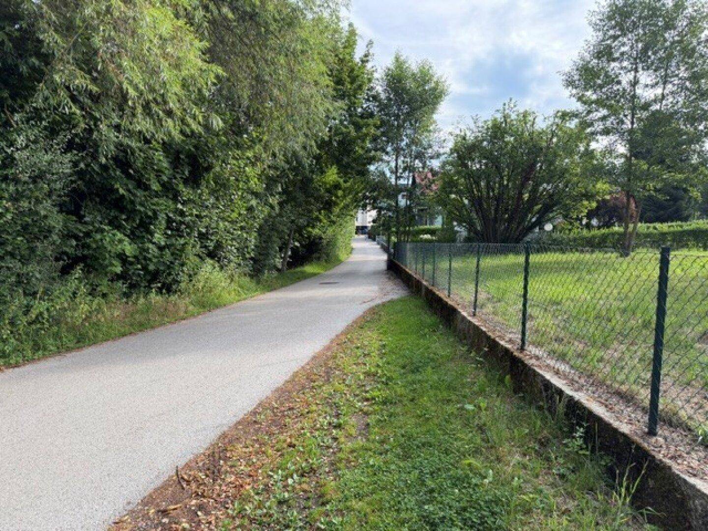 Asphaltierter Weg führt durch eine grüne Landschaft mit dichtem Baumbestand und einem Zaun.