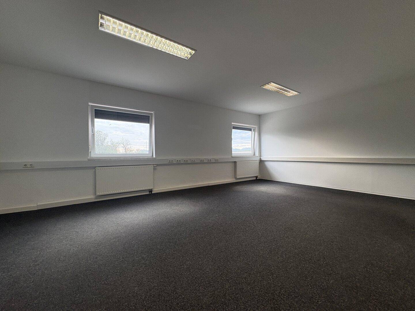 Leeres Büro mit zwei Fenstern, grauem Teppichboden und Deckenleuchten.