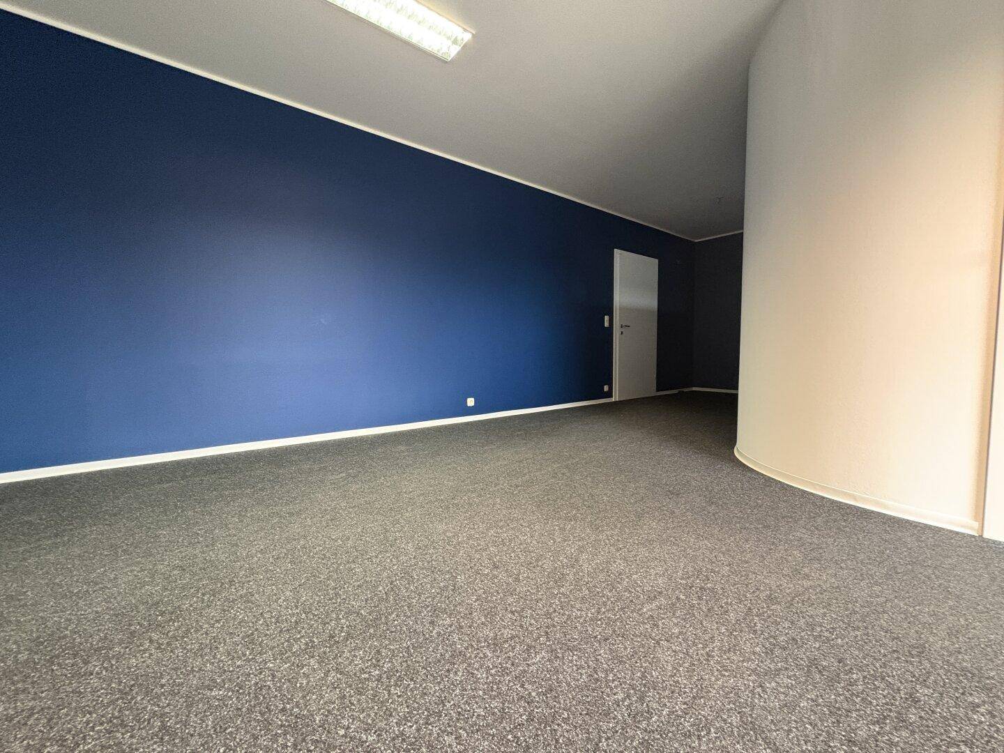 Büro mit dunkelblauer Akzentwand, grauem Teppichboden und einer weißen Tür.