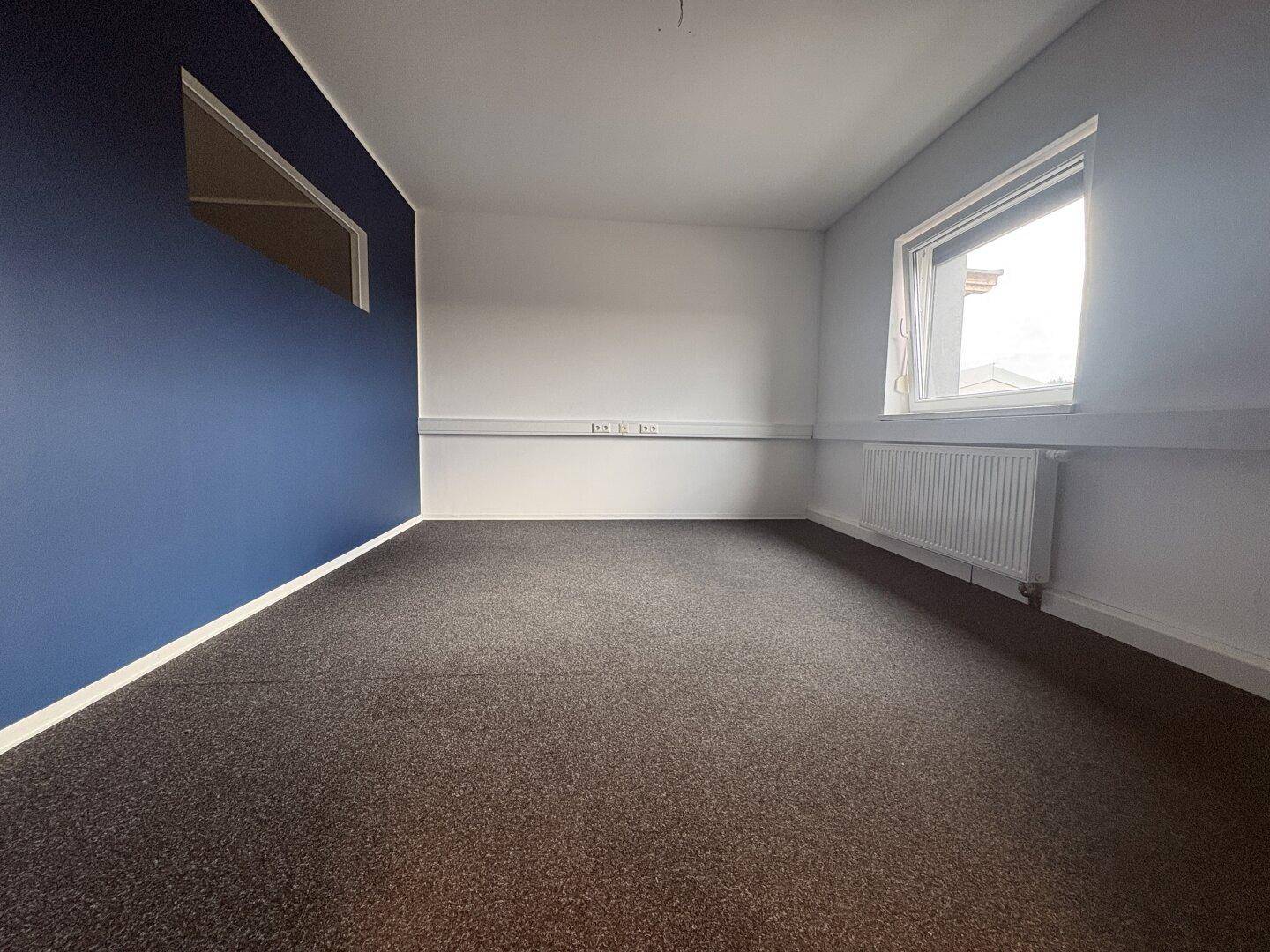 Büro mit dunkelblauer Wand, grauem Teppichboden und einem Fenster mit Heizkörper darunter.