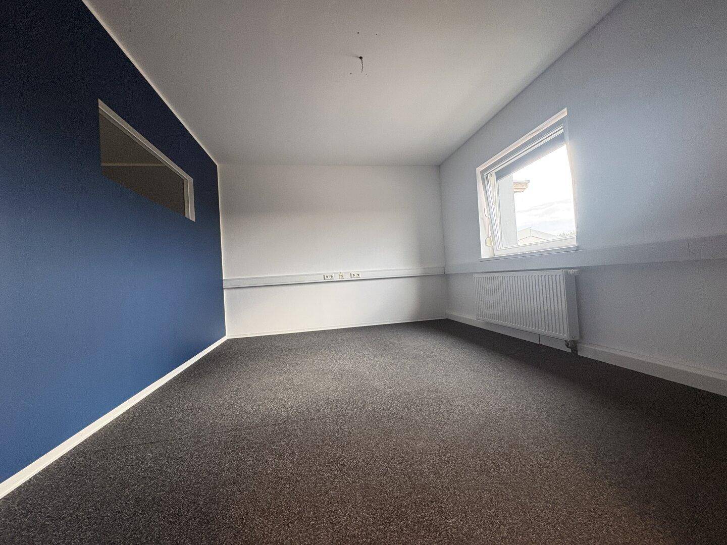 Helles Büro mit dunkelblauer Akzentwand, grauem Teppichboden und einem Fenster.