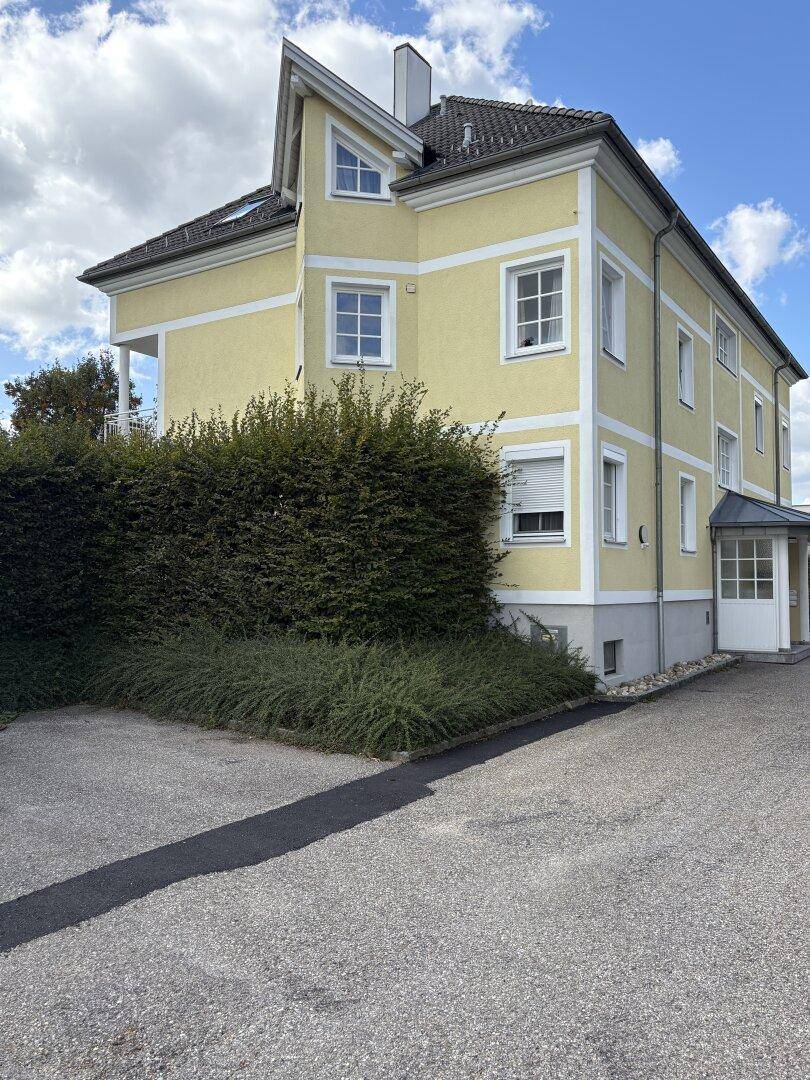 Gelbes Mehrfamilienhaus mit moderner Architektur, großen Fenstern und einer grünen Hecke.