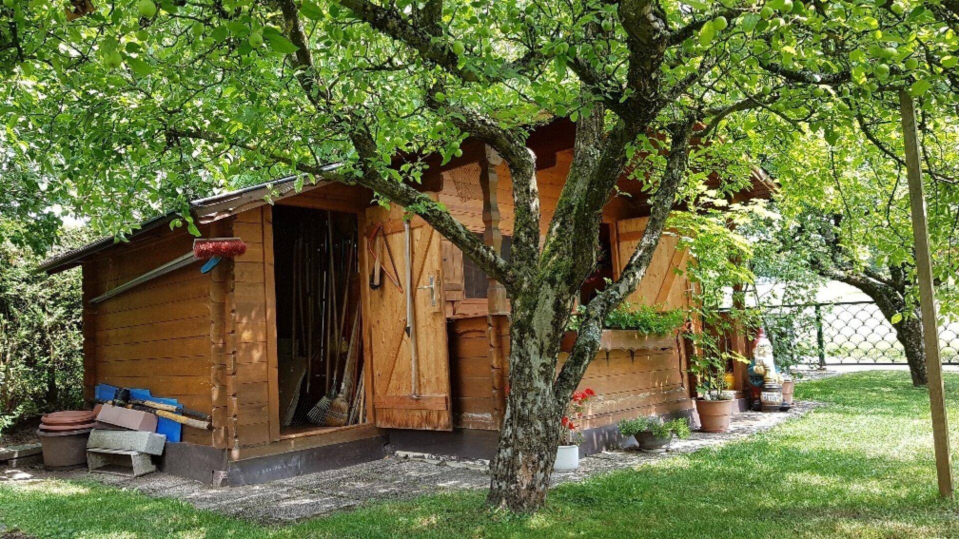 Rustikales Gartenhaus aus Holz unter einem Apfelbaum im Grünen.