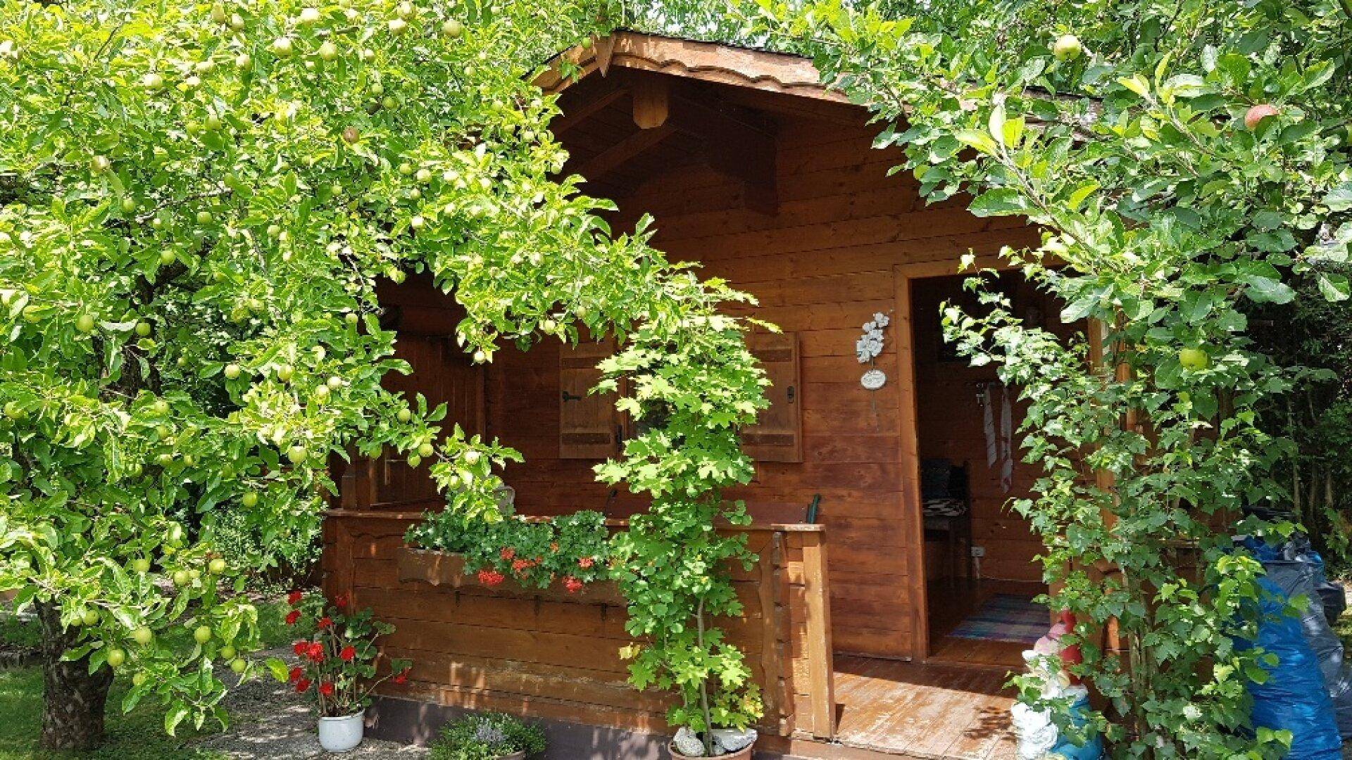Charmantes Gartenhaus aus Holz, umgeben von Bäumen und Pflanzen.