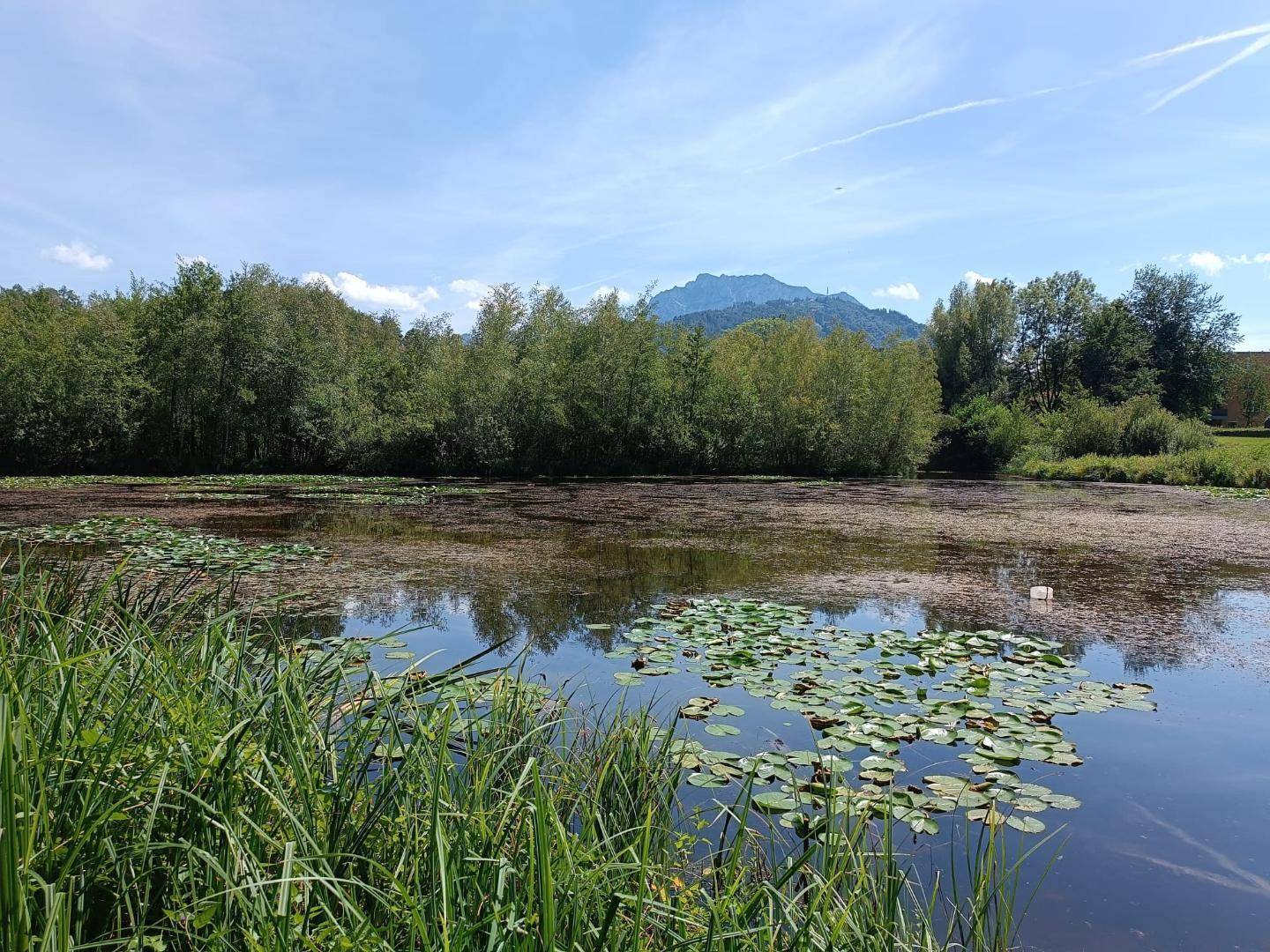 Krottensee