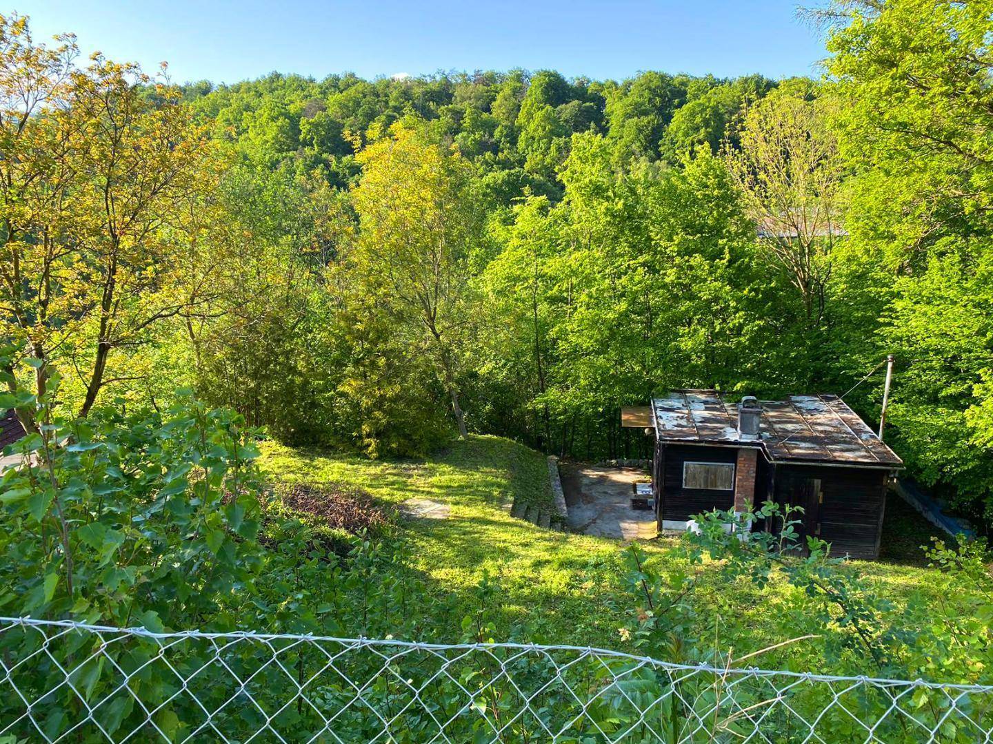 Überblick über die kleine Holzhütte in einer idyllischen, grünen Landschaft mit dichtem Baumbestand.