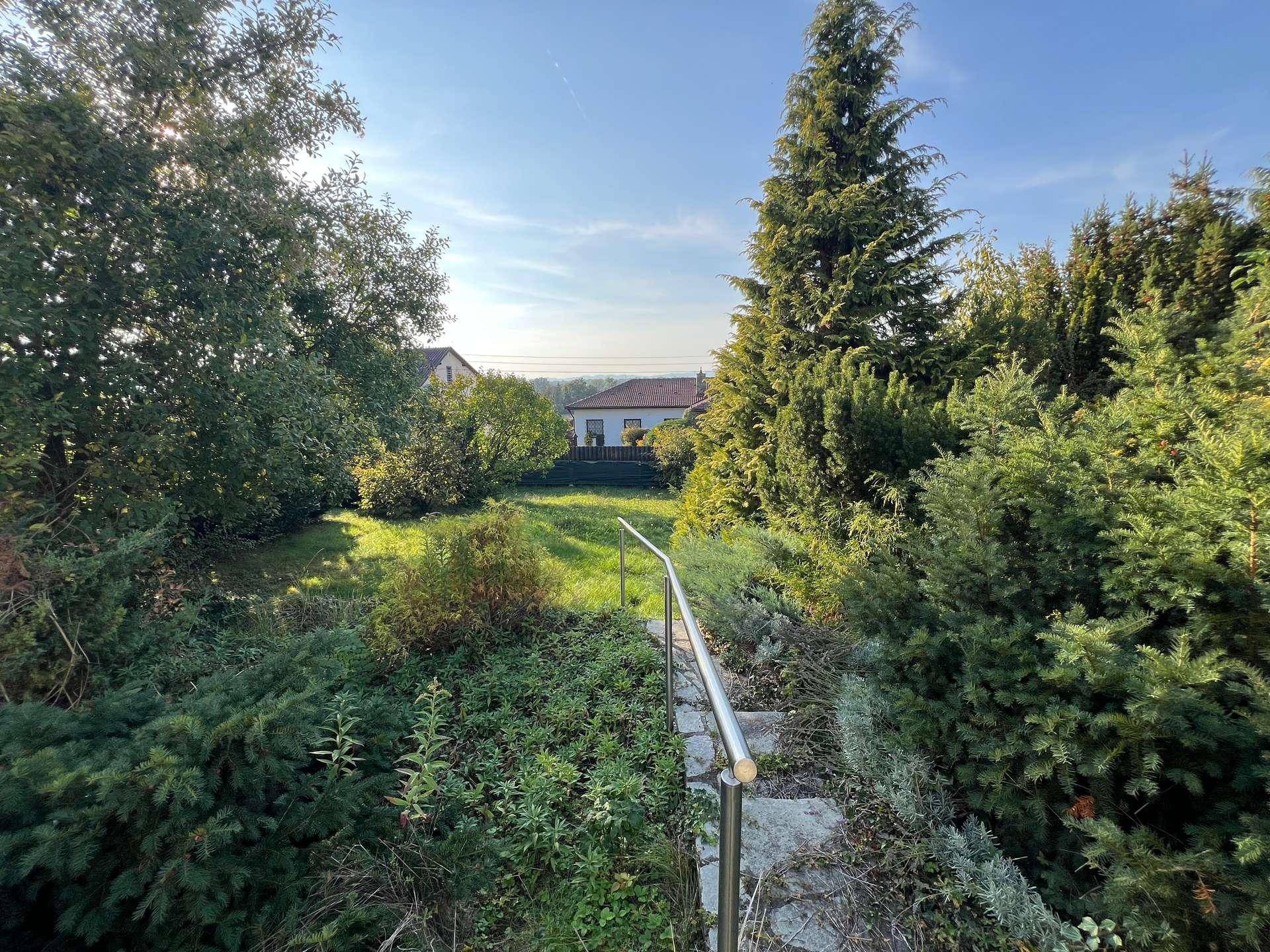 Gartenweg mit Stufen und Handlauf, umgeben von dichter Vegetation, führt zu einem Haus im Hintergrund.