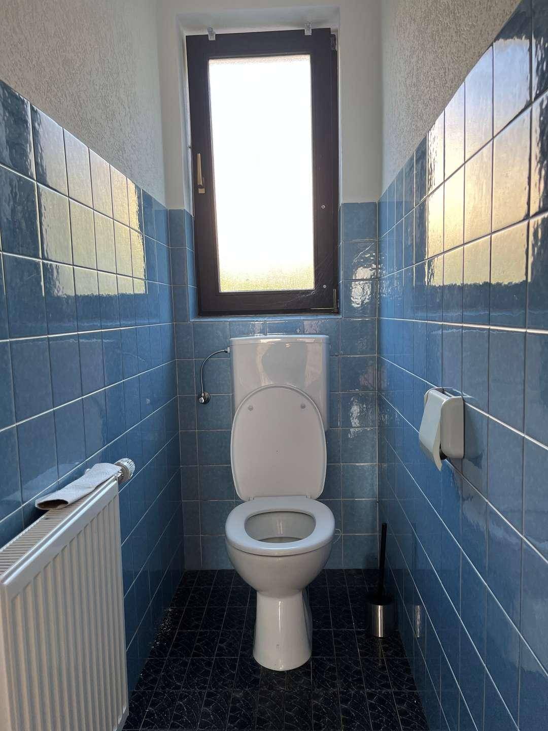 Kleines WC mit blauen Wandfliesen, Toilette und einem Fenster für Tageslicht.