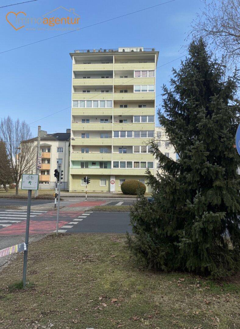 Außenansicht des Wohngebäudes von der Straße, teilweise verdeckt von einem großen Nadelbaum.