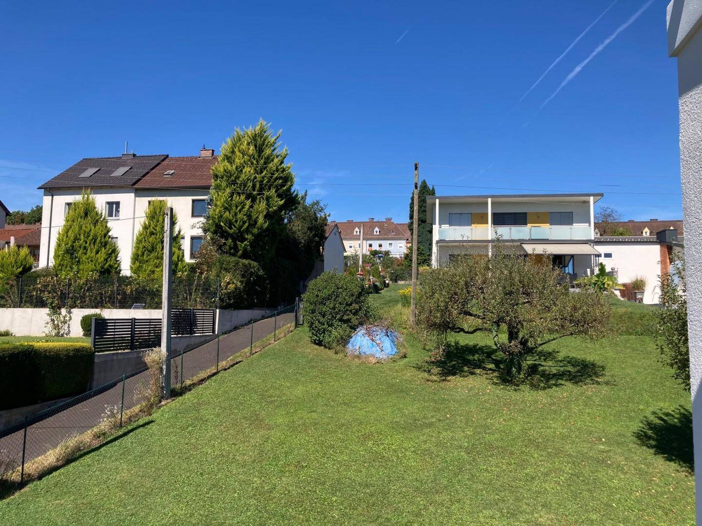 Sonniger Gartenbereich mit Rasenfläche und Bäumen, umgeben von Wohnhäusern unter blauem Himmel.