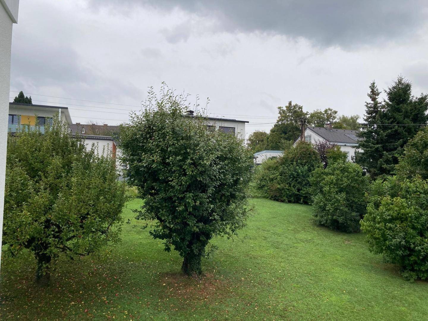 Erstbezug - Zweiraumwohnung - Blick ins Grüne - inkl. weißer Tischlerküche - Widok 5