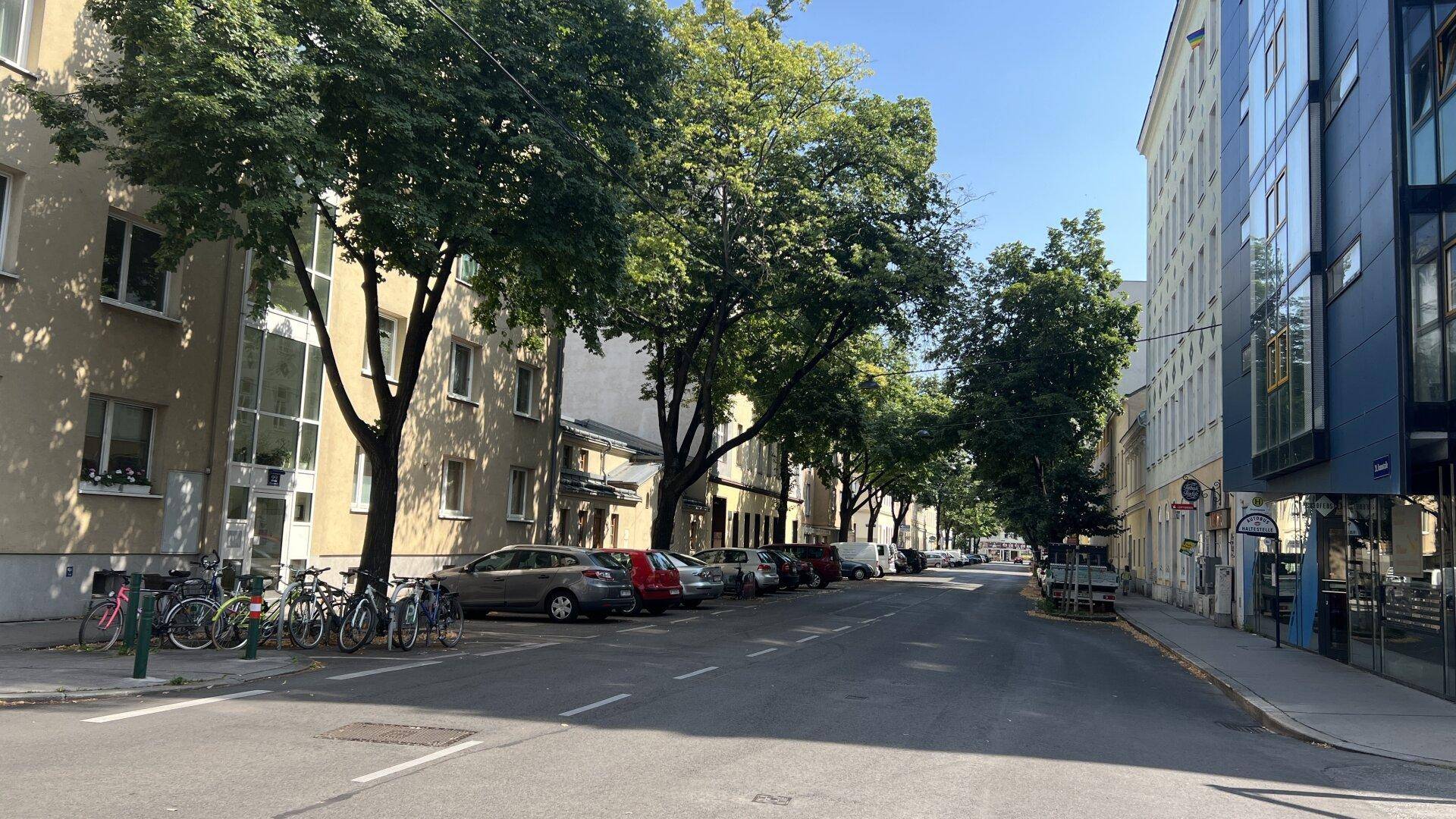 Ruhige Wohnstraße mit vielen Bäumen, parkenden Autos und Gebäuden im Hintergrund.