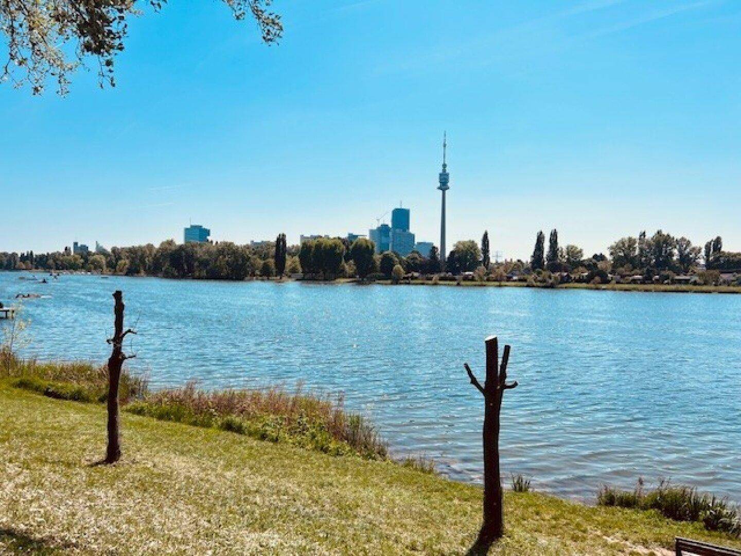 Weitläufiger Blick auf einen See mit Stadtpanorama und dem Donauturm am Horizont.