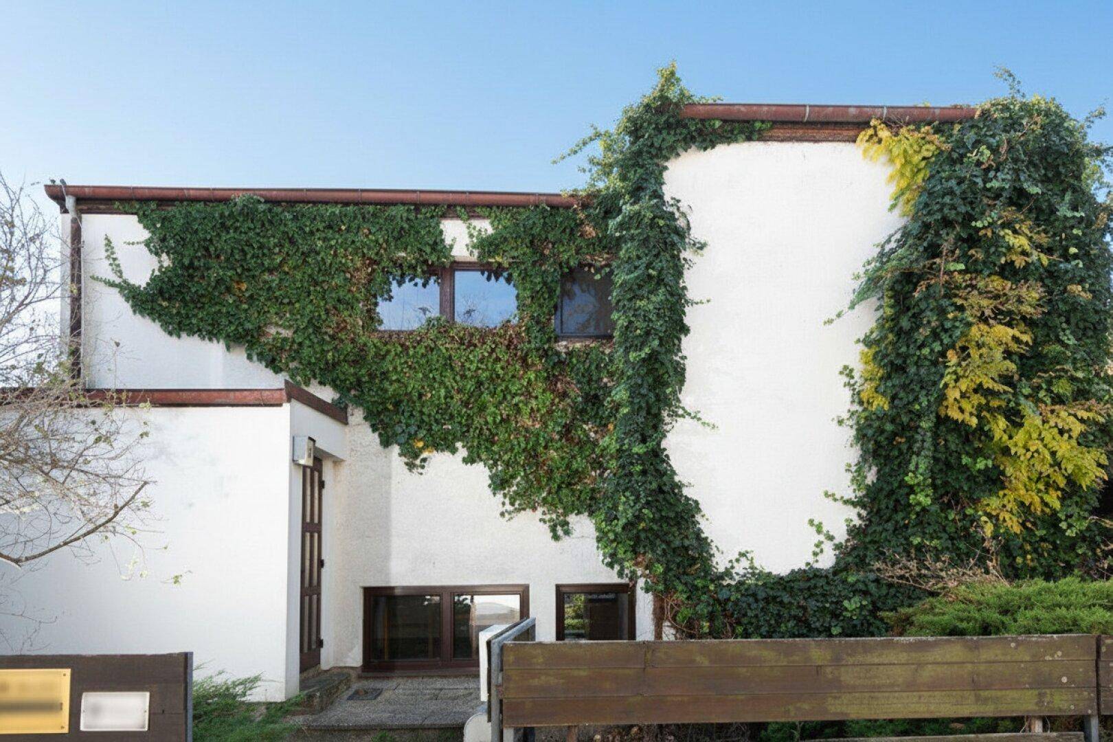 Fassade des Hauses mit üppigem Efeubewuchs und braunen Fensterrahmen unter blauem Himmel.
