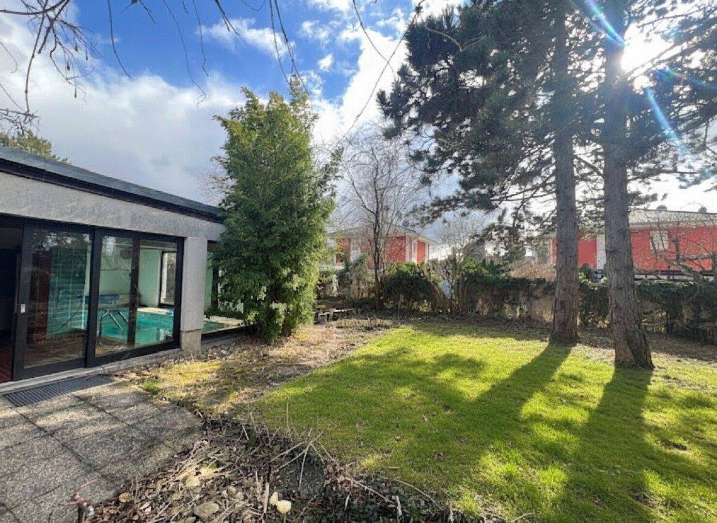 Sonniger Gartenbereich mit Rasenfläche, hohen Bäumen und Blick auf den Poolbereich.
