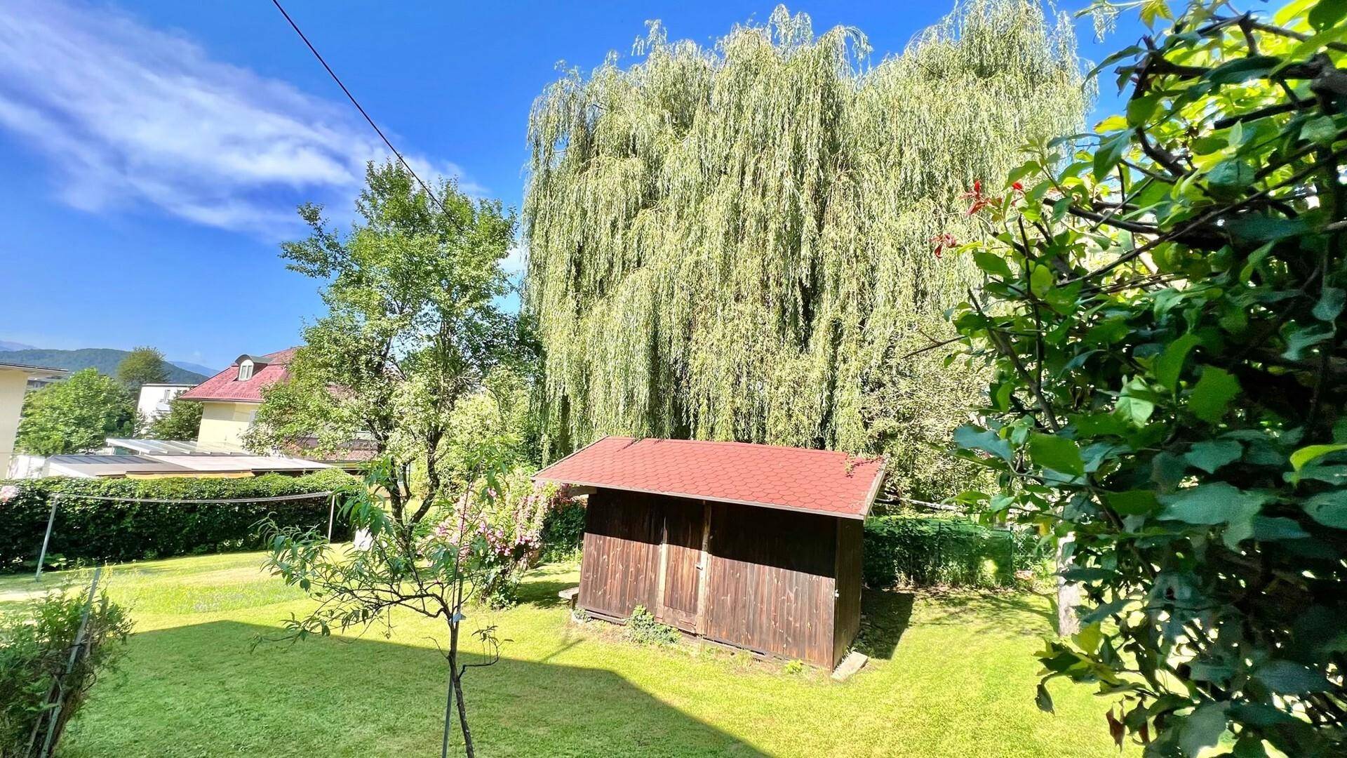 Gepflegter Garten mit Rasenfläche, altem Baumbestand und einem kleinen Holzschuppen.