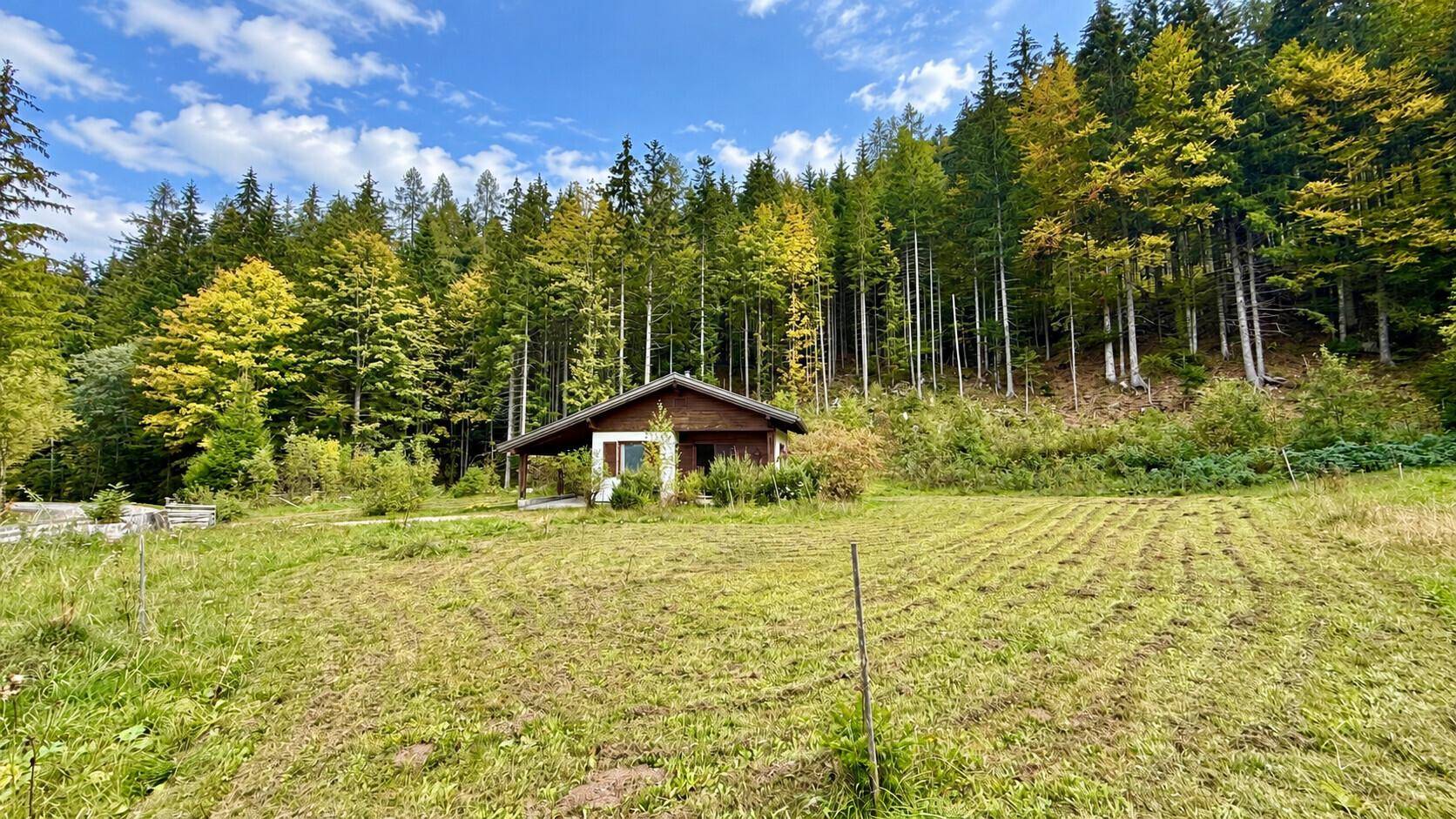 Freistehendes Haus in einer Lichtung, umgeben von dichtem Wald und grünen Wiesen.