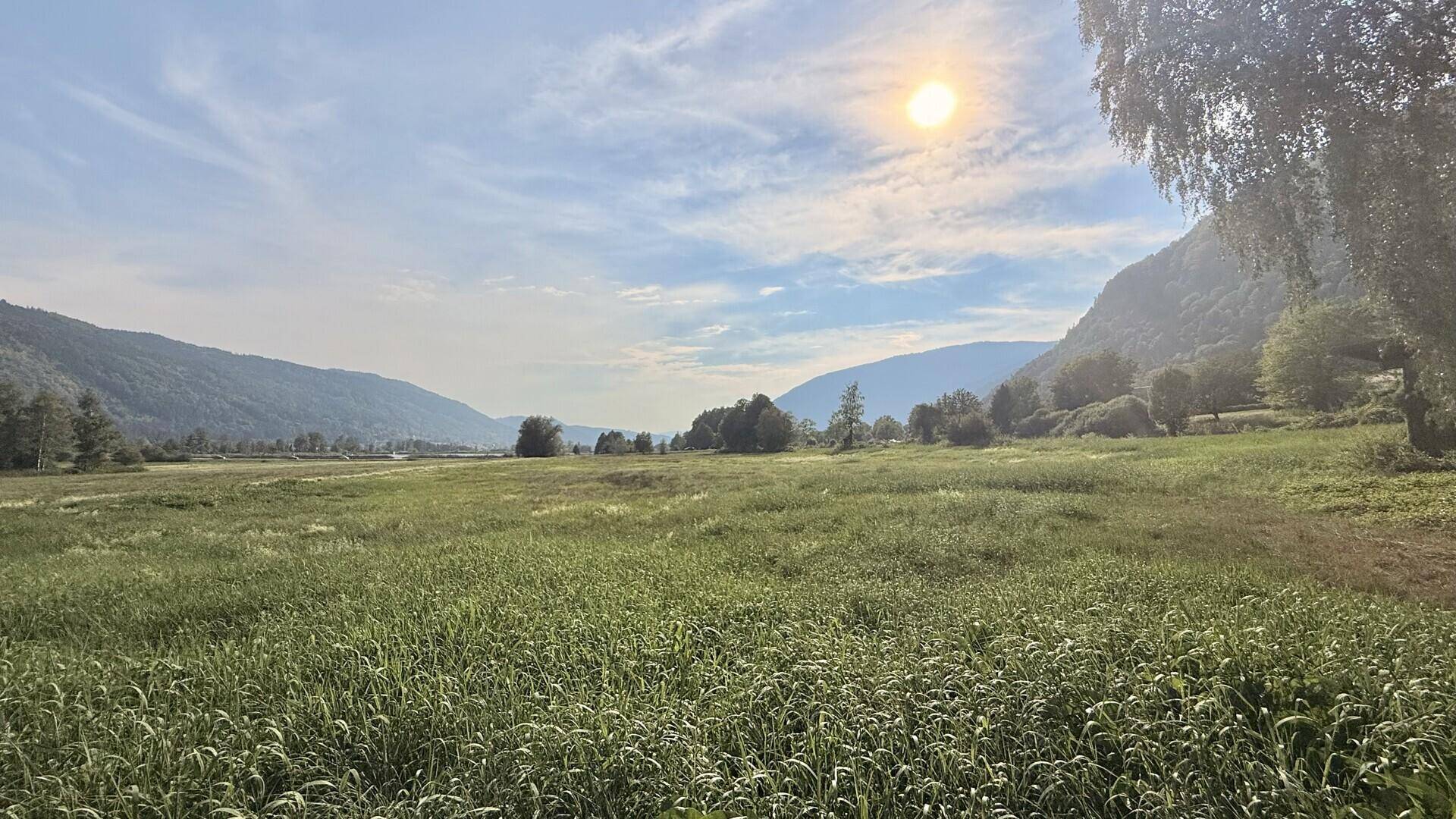 Sonnige Wiesenlandschaft mit weitem Blick auf die Berge und den Himmel.
