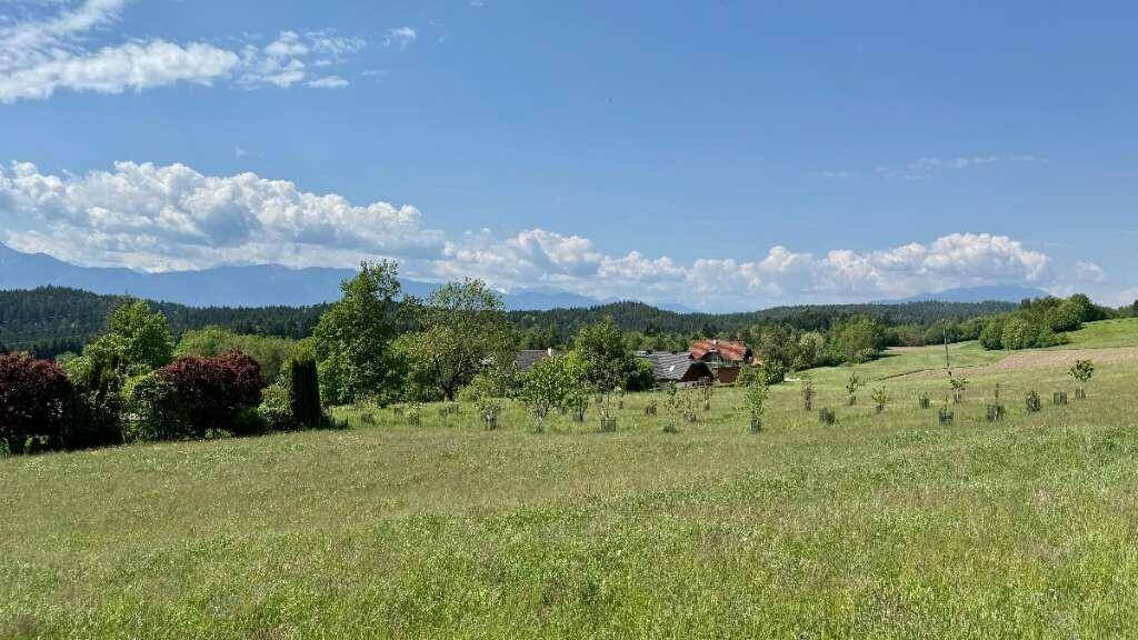 willhaben.at-4.jpg