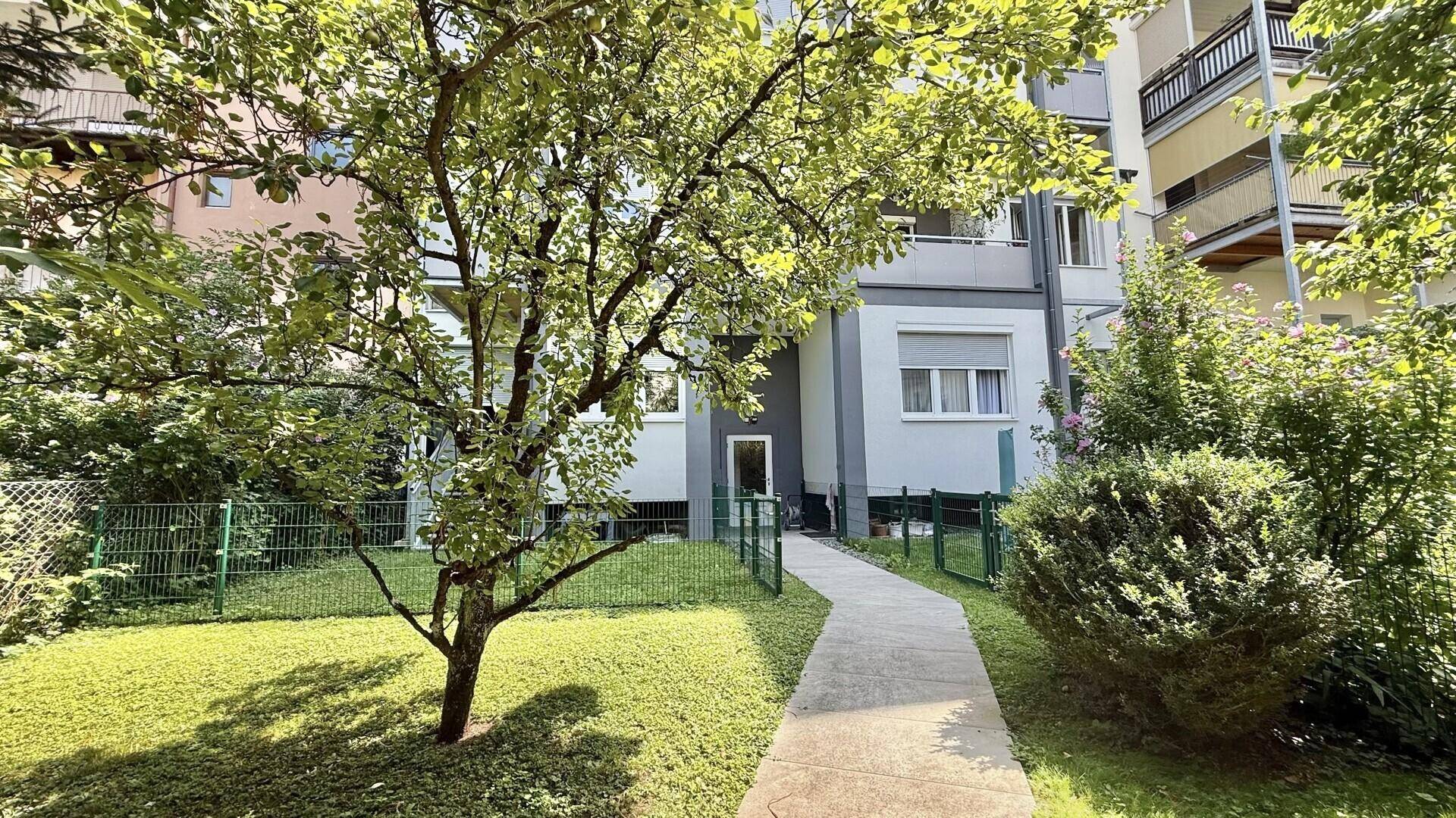 Grüner Gartenweg mit Bäumen und Rasenflächen, der zum Gebäude führt und eine ruhige Atmosphäre schafft.