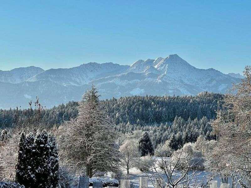 willhaben.at-6.jpg