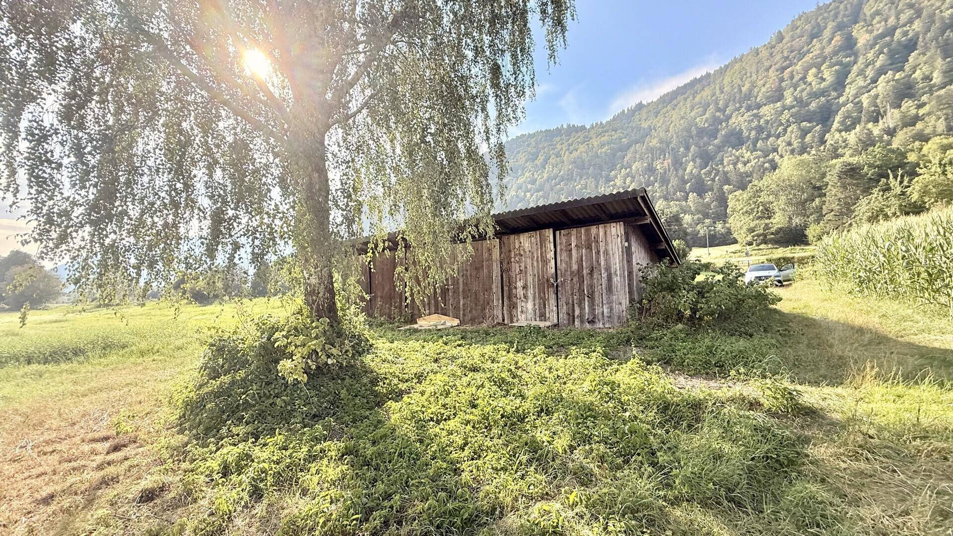 Rustikaler Holzschuppen umgeben von üppigem Grün mit Bergen im Hintergrund und Sonnenschein.
