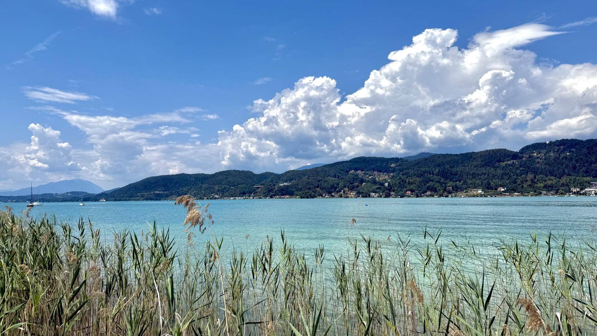 Malerischer Blick auf den ruhigen See mit Schilf im Vordergrund und bewaldeten Bergen.