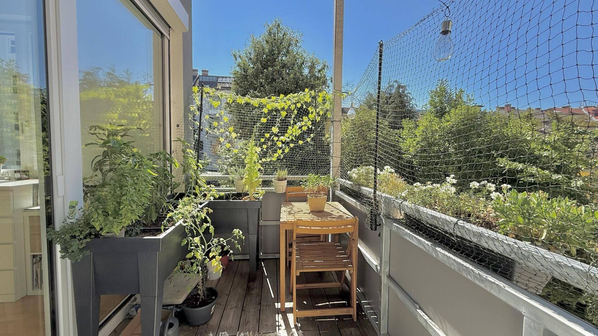 Sonniger Balkon mit Holzboden, vielen Pflanzen und einem kleinen Holztisch für entspannte Stunden im Freien.