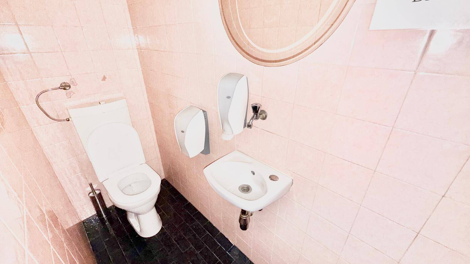Kleine Toilette mit rosa Fliesenwänden, schwarzem Fliesenboden, WC und kleinem Waschbecken.
