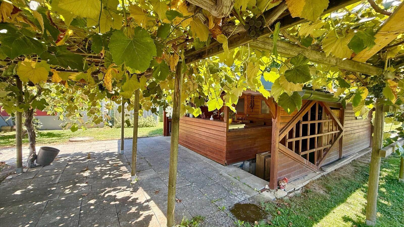 Gepflasterter Weg unter einer Pergola mit Weinreben, die zu einem Holzgebäude führt.