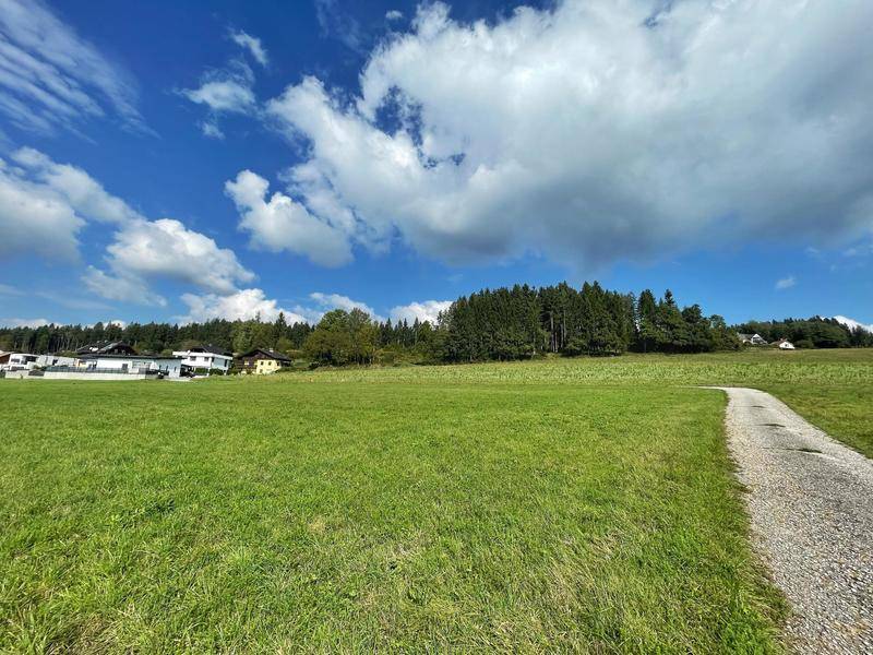 nördlich Wald Wiesen Natur hinter den Parzellen