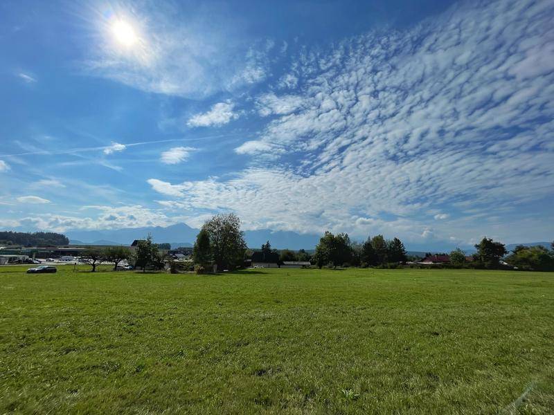 Weitläufige grüne Wiesenlandschaft unter strahlend blauem Himmel mit Bergen am Horizont.
